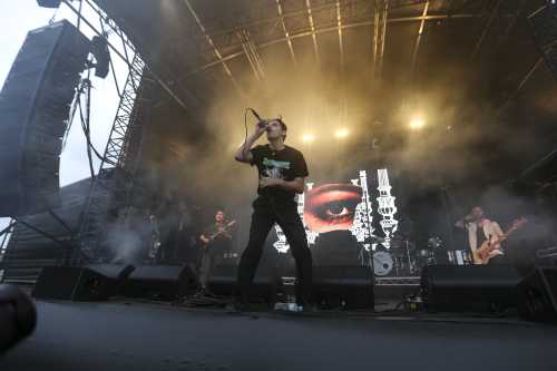 slowly slowly yours and owls 2025 12