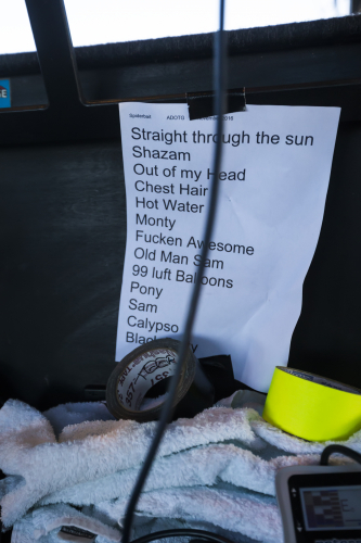 spiderbait a day on the green 68