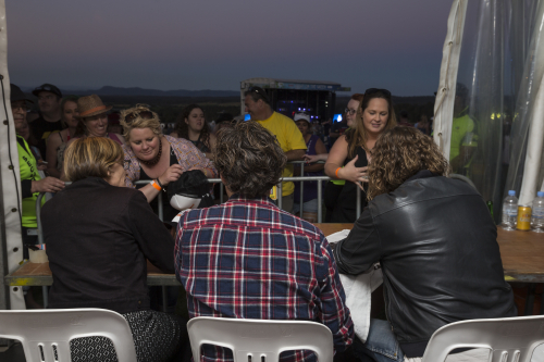 spiderbait a day on the green 74