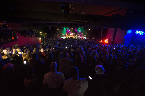 spiderbait the metro 16