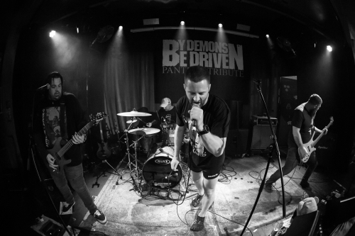 suffer the evenue dimefest 23 15