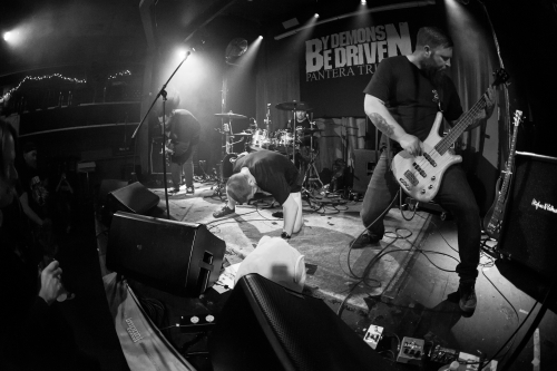 suffer the evenue dimefest 23 33