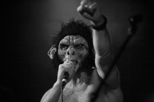 suffer the evenue dimefest 23 41