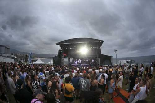 sycco yours and owls 2025 08