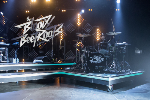 the-bloody-beetroots-01