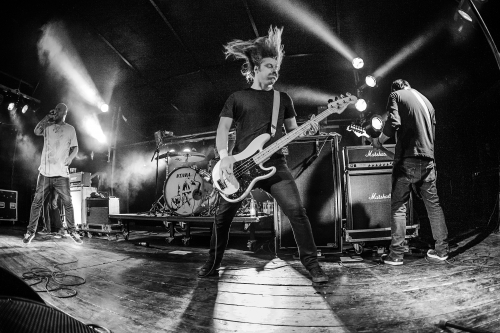 the-bronx-04 (1) (1)