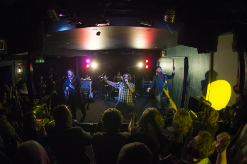 the beards studio 6 24