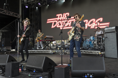 the delta riggs yours  owls festival 08