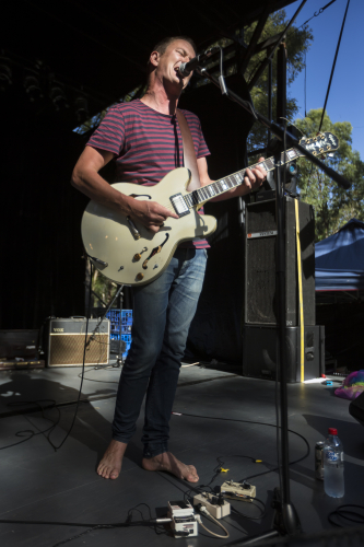 the peep tempel the farmer and the owl 15 09