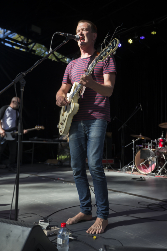 the peep tempel the farmer and the owl 15 11