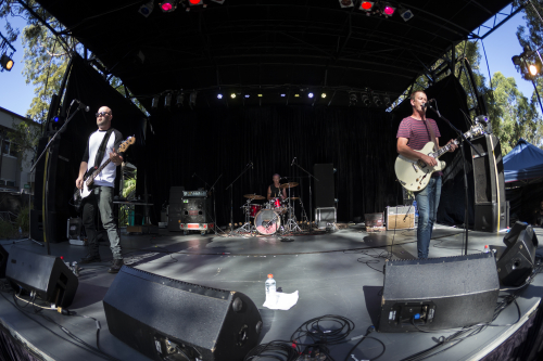 the peep tempel the farmer and the owl 15 12