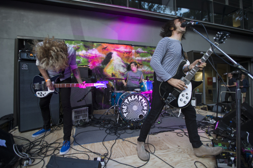 the treatment the farmer and the owl 11