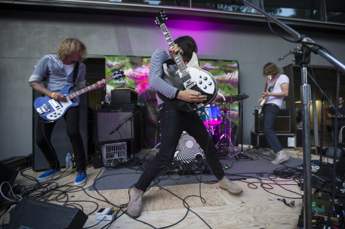 the treatment the farmer and the owl 12