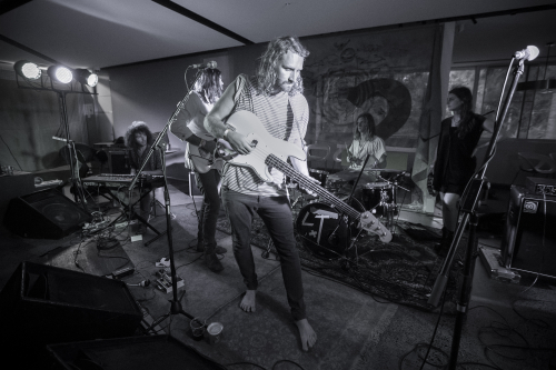 the walking who the farmer and the owl 01