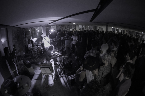 the walking who the farmer and the owl 11