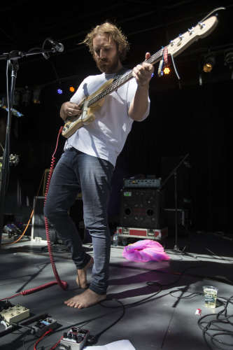 the walking who the farmer and the owl 15 09