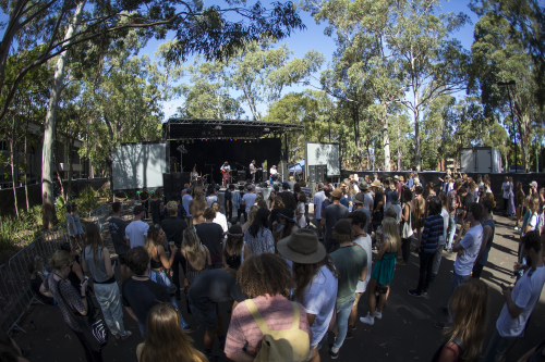 the walking who the farmer and the owl 15 13