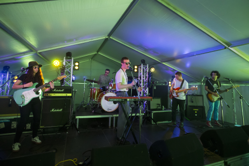 the zilzies yours and owls festival 08