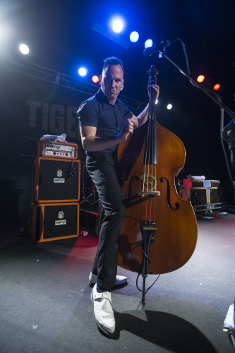 tiger army the metro 12