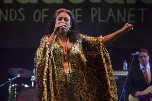 tim-rogers-the-bamboos-01