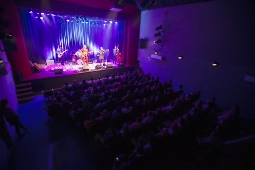 tim rogers and the twin set milton theatre 54