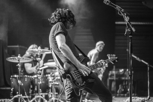 tracer amager bio 11