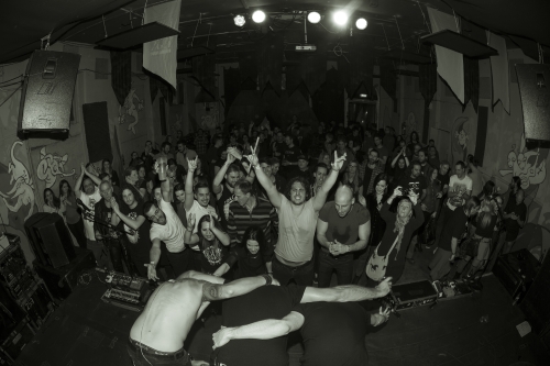 tracer budapest HU durer kert 22