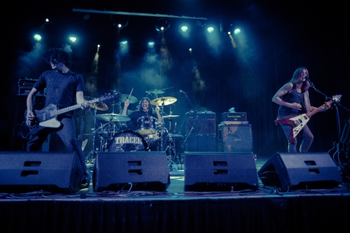 tracer canterbury hurlstone park rsl hurlstone park 2013 13