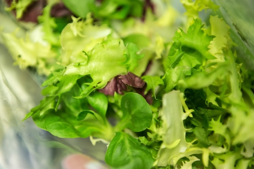 tracer chester UK the live rooms 06