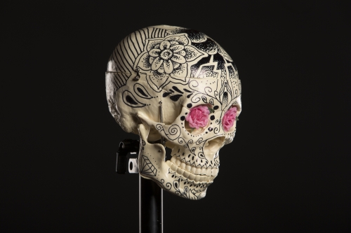 tracer el pistolero artwork photo shoot 113