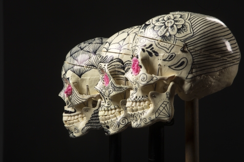 tracer el pistolero artwork photo shoot 140