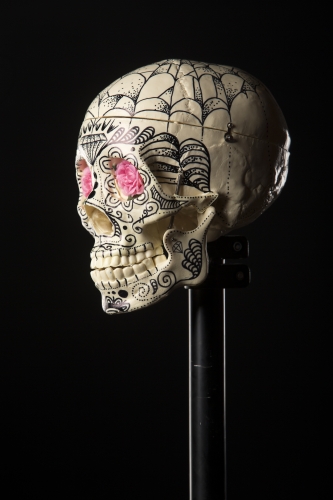 tracer el pistolero artwork photo shoot 58