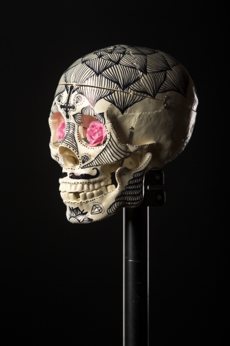 tracer el pistolero artwork photo shoot 63