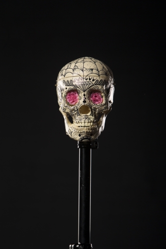 tracer el pistolero artwork photo shoot 81