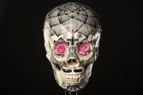 tracer el pistolero artwork photo shoot 96