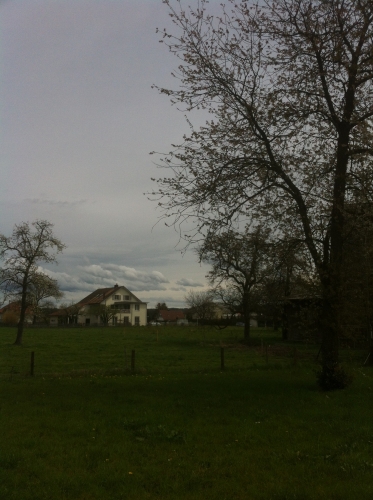 tracer european summer 2012 tour iphone pics 11