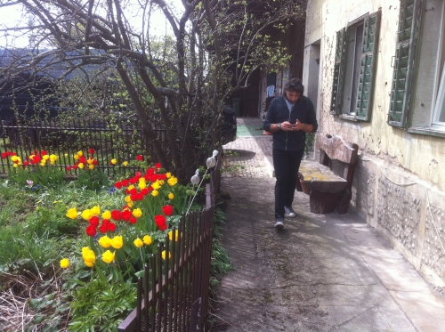 tracer european summer 2012 tour iphone pics 12