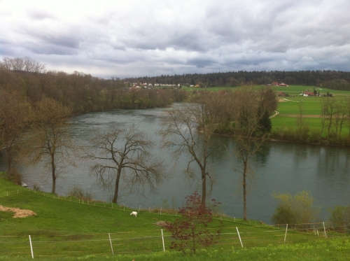 tracer european summer 2012 tour iphone pics 13