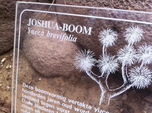 tracer european summer 2012 tour iphone pics 133