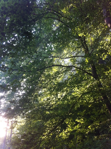 tracer european summer 2012 tour iphone pics 151