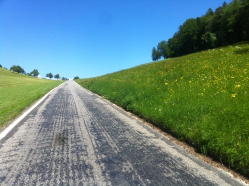 tracer european summer 2012 tour iphone pics 162