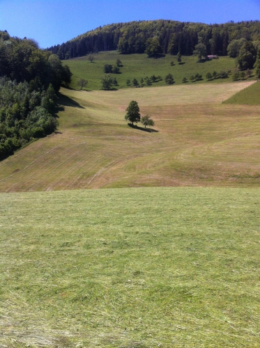 tracer european summer 2012 tour iphone pics 163