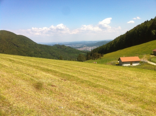 tracer european summer 2012 tour iphone pics 164