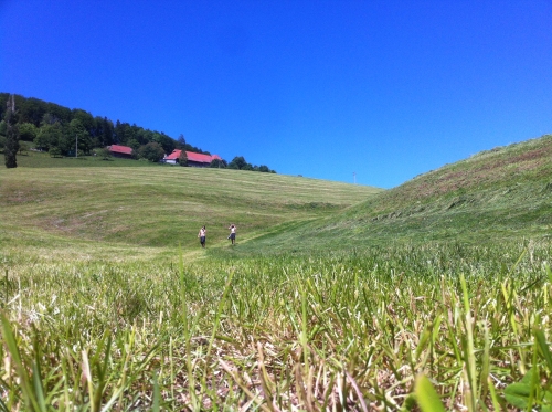 tracer european summer 2012 tour iphone pics 165