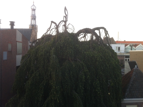 tracer european summer 2012 tour iphone pics 251