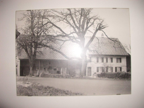 tracer european summer 2012 tour iphone pics 53