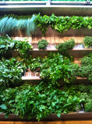 tracer european summer 2012 tour iphone pics 79