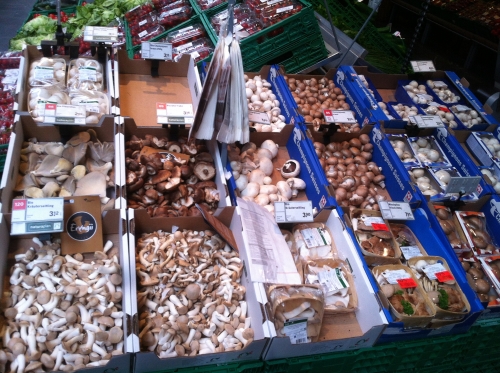 tracer european summer 2012 tour iphone pics 82