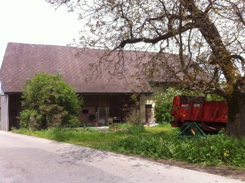 tracer european summer 2012 tour iphone pics 86