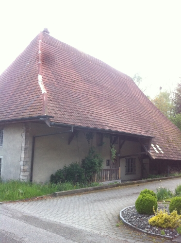 tracer european summer 2012 tour iphone pics 92